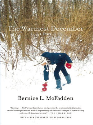 The Warmest December - ebook